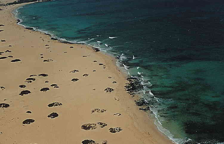 Nudista Fuerteventura Playa Larga